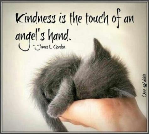 Animals don't have a voice, so i think it is our job to give them one. Quotes About Kindness To Animals. QuotesGram