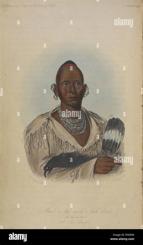 Black Hawk Indian Chief Hi Res Stock Photography And Images Alamy