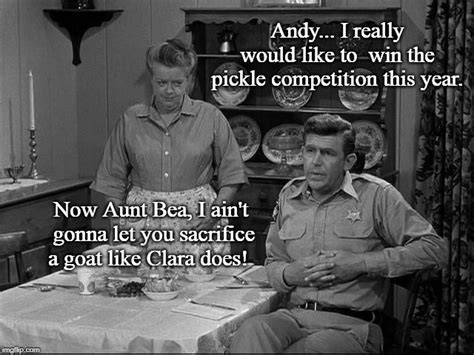 Funny Andy Griffith Quotes