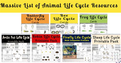 Massive List Of Animal Life Cycle Resources B Simple Living Creative