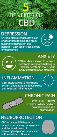 Cbd Oil The Benefits And Side Effects