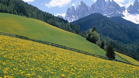 Hd Wallpaper Dolomite Mountains In Italy Spring Landscape Meadow With