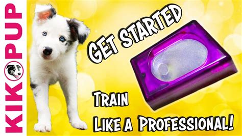 Getting Started Clicker Training Dogmantics Dog Training