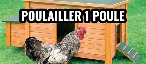 Free Poulaillers Poulailler Maison Pour Vos Poules Hot Sex Picture
