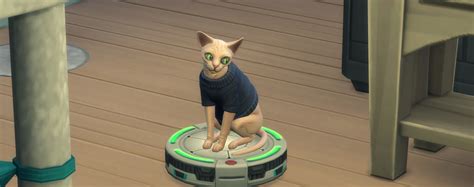 Sims 4 Cat And Dog Lokasinzilla