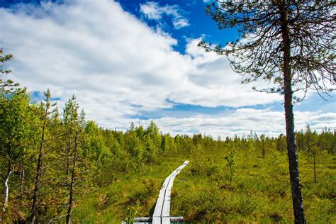Best Time For Hiking In Finland 2024 Best Season Roveme