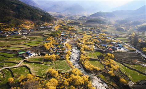 Sansuyu Village, Gurye County, South Jeolla Province [OS] [1600×974 ...