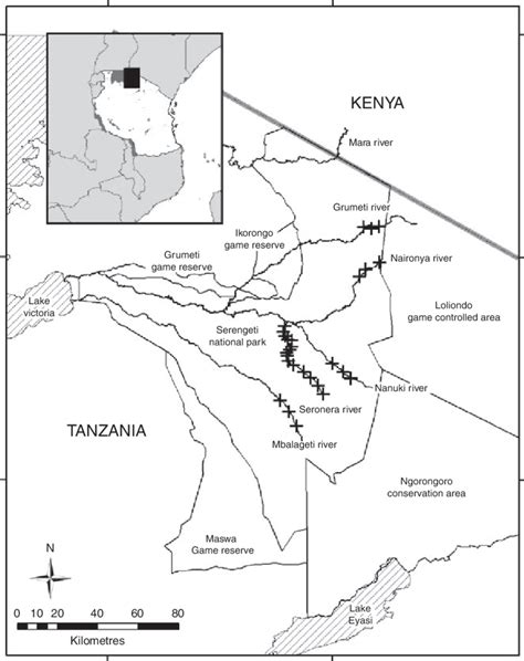 Map Of The Serengeti National Park And Surrounding Areas In Northern