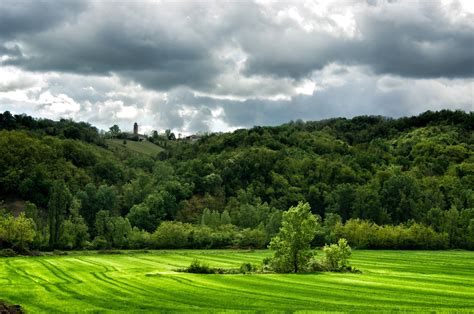 Green Trees Landscape Forest Italy Hd Wallpaper Wallpaper Flare