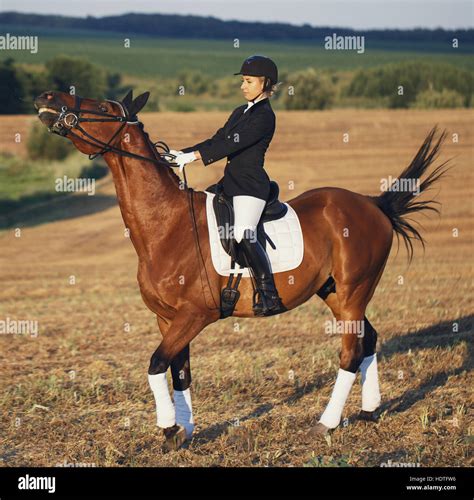 Beautiful Elegance Woman Cowgirl Riding A Horse Has Slim Sport Body