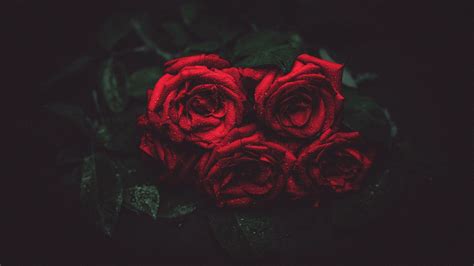 Aesthetic Rose 1920x1080 Wallpapers Wallpaper Cave