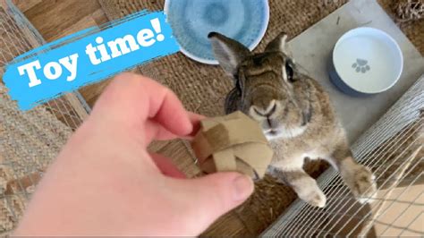 Easy Diy Bunny Toys Youtube