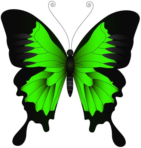 Green Butterfly Clipart 10 Free Cliparts Download Images On