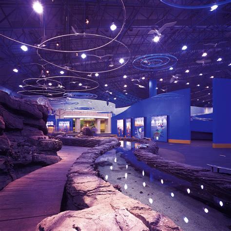 Mission And Associates Ltd Marine Life Aquarium Interior And Exhibition