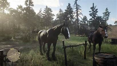 Shire Rdr2 Forums Dead Redemption Horses Story