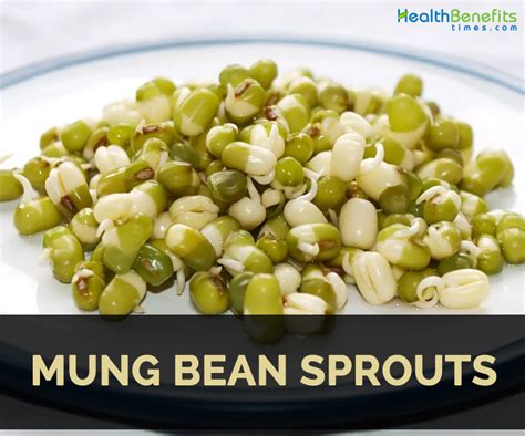 Mung Bean Sprouts Fact Health Benefits Nutritional Value