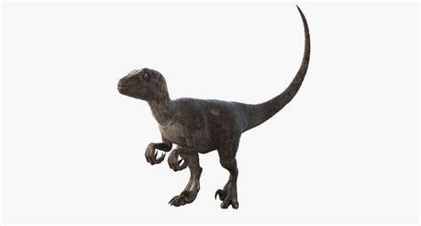 Realistic Velociraptor Rigged Raptor 3d Max Velociraptor 3d Model Realistic