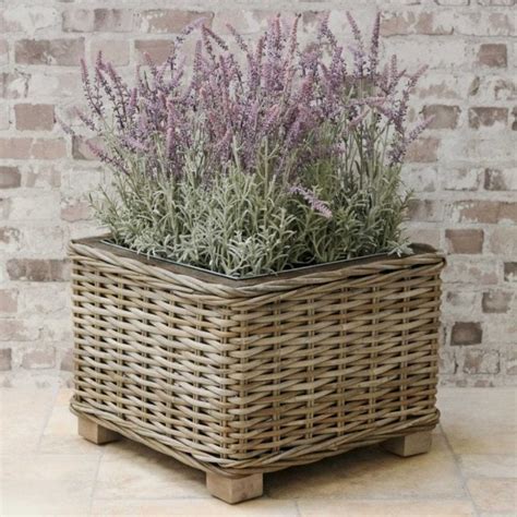 Wicker Plant Pots Planters And Hanging Baskets From The Basket Company