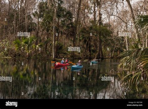 Kayaking Silver Springs River Ocala Florida Usa Stock Photo Alamy