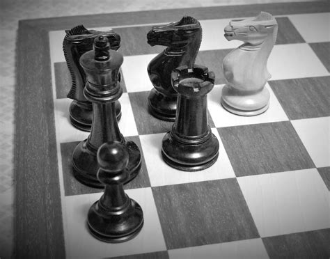 Mosaico Ajedrecístico Chess Blog Estudio