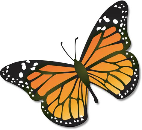 Easy To Draw Monarch Butterfly Clip Art Library