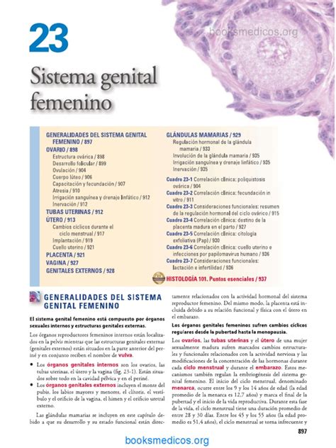Ross Sistema Genital Femenino Pdf Pdf