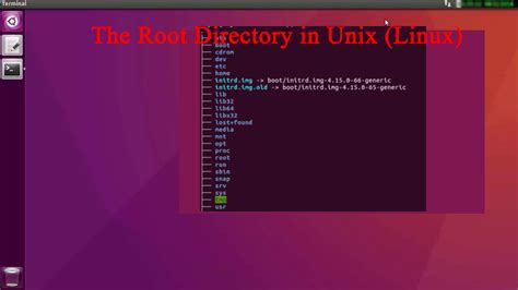 The Root Directory In Unix Linux Born To Solve Learn To Code