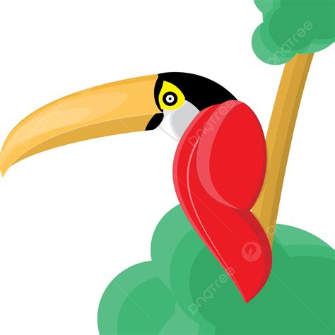 Toucan Bird Illustration Vector Cartoon Toucan Bird Tropic Png And