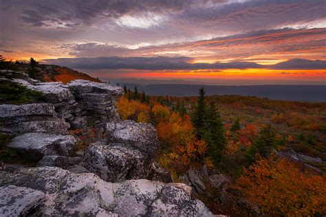 A Love For Life Dolly Sods West Virginia Bernard Chen Photography