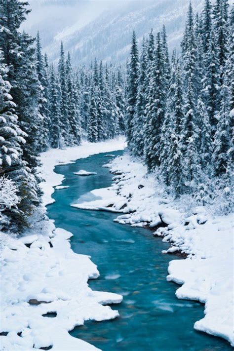 Canada Winter Scenery Winter Scenes Winter Landscape