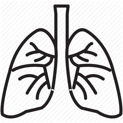 Lung Png Lung Transparent Background Freeiconspng