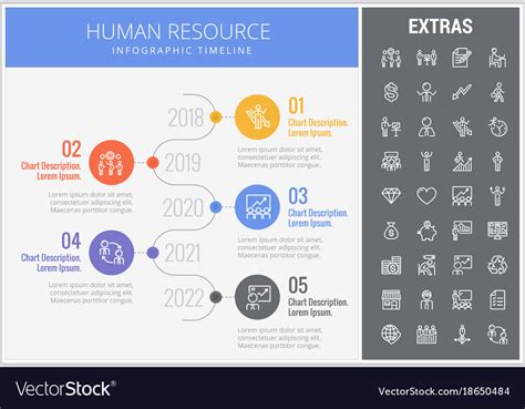 Human Resource Infographic Template And Elements Vector Image