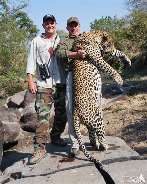 Leopard Hunt Special Tanzania
