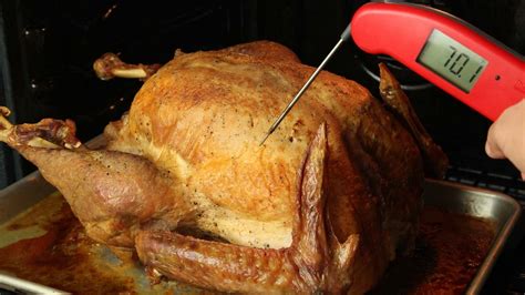 The Right Way To Take The Temperature Of Your Turkey Youtube
