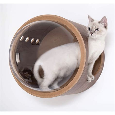 Modern Cute Cat Beds Markoyxiana