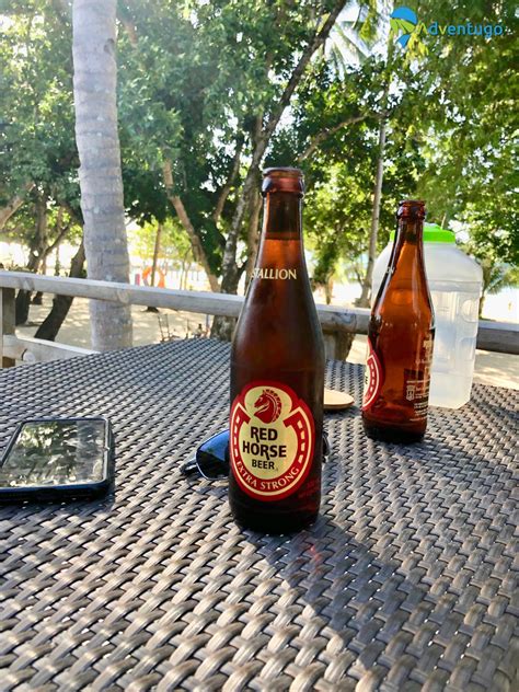 Kucoin also provide excellent support, maker & taker transaction fees, open api Red Horse Beer Philippines - Adventugo