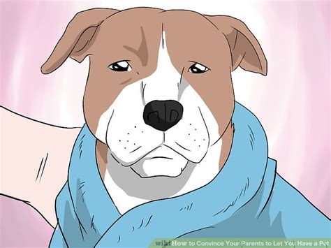 How To Convince Your Parents To Let You Have A Pet 13 Steps