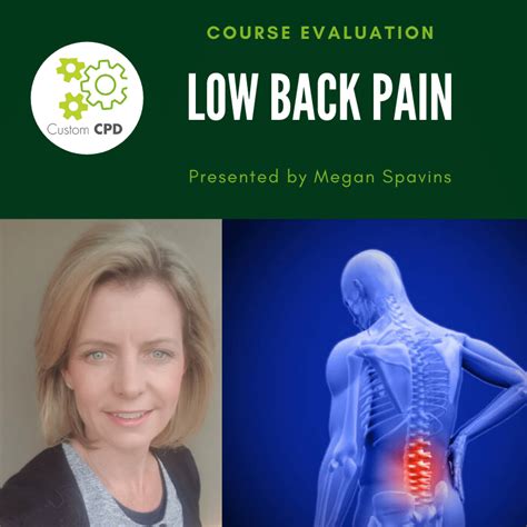 Momentum Cpd Course Evaluation Low Back Pain 9 July 2020 The Ot Link