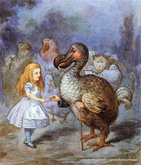 1865 Alice In Wonderland And The Dodo John Tenniel Colour Print Ideal