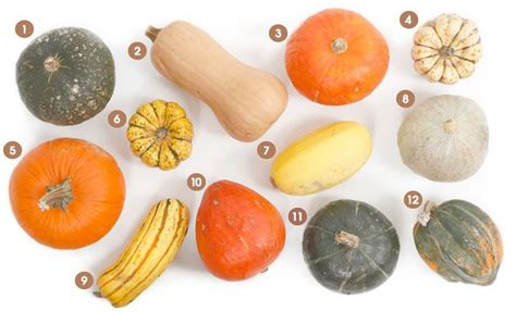 A Guide To 12 Winter Squash From Pumpkins To Delicata Squash
