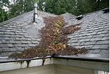 Pictures of Roof Preventative Maintenance Checklist