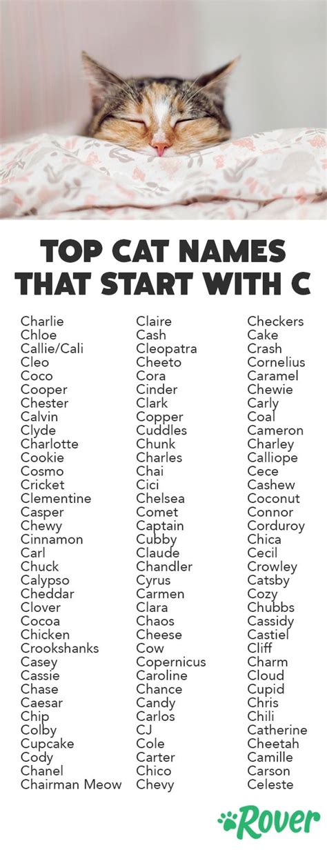 You could take your naming inspiration from a dozen places—a favorite movie character, a disney princess, even a color from your kid's box of crayons—but why not start by playing the alphabet game to get your creative this list is packed with great female dog names for every letter of the alphabet! The Top 105 Cat Names that Start with "C" for 2019 ...