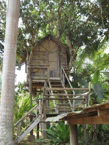 Pai Tree House Hotel Cool Tree Houses Tree House Earth Homes