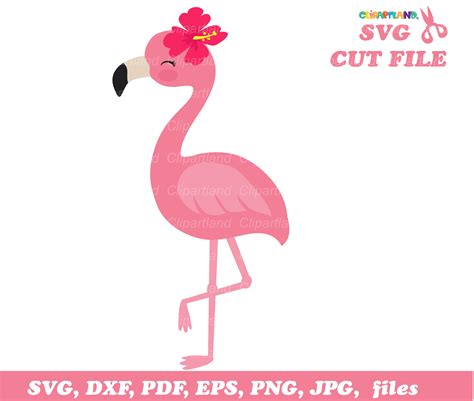 Instant Download Flamingo Svg Cut Files And Clip Art Cf3 Etsy
