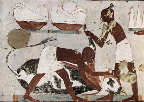 Ancient Egyptian Butchers Notice Their Color The Hebrew Israelites Were Often Confused With