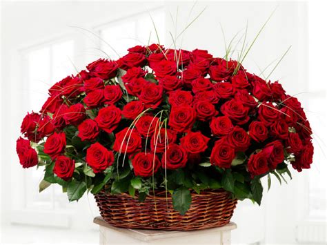 Big Bouquet Of Beautiful Red Roses In A Basket On A White Background Wallpapers And Images