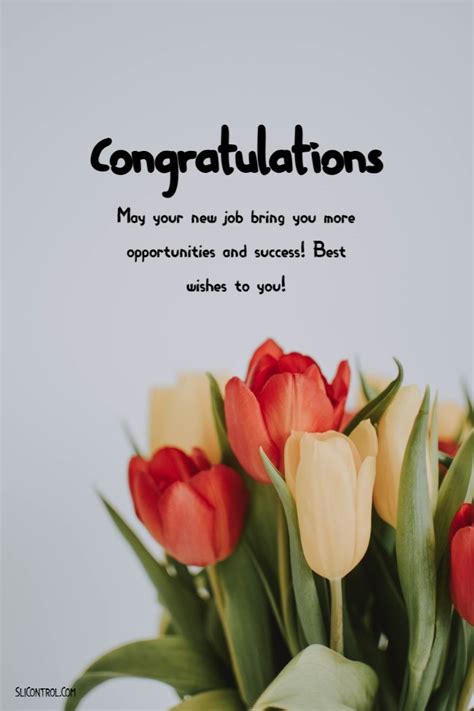 Congratulations Messages For Work