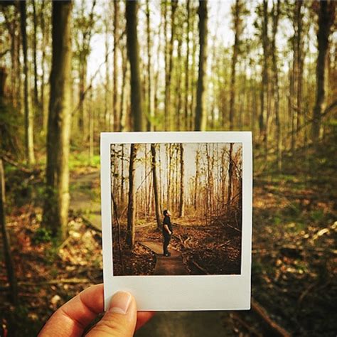 25 Creative Examples Of Polaroids In Pictures