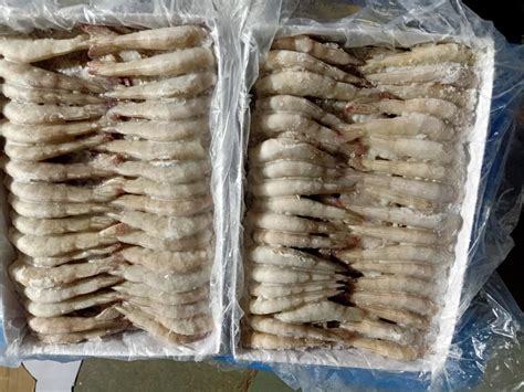 Frozen Seafood Headless Vannamei Shrimp Frozen Prawns Hlso China