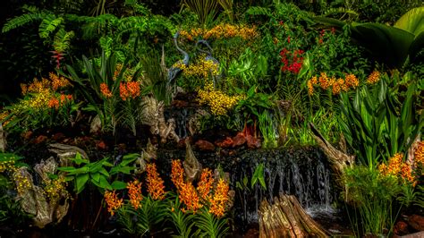 Abonniert kostenlos meinen kanal.der singapore botanic gardens ist einer der wichtigsten botanischen gärten asiens. Botanischer Garten Singapur (XXVII) Foto & Bild | asia ...